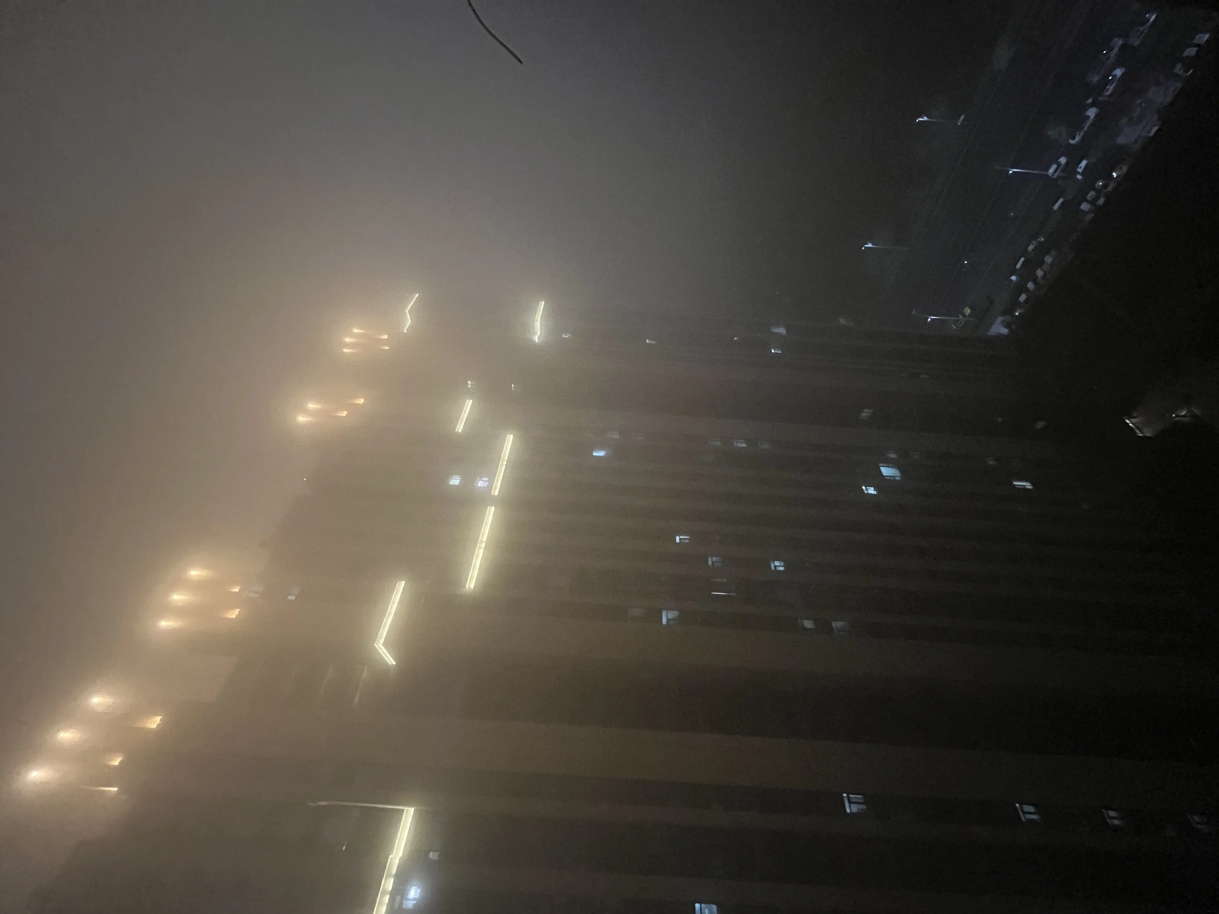 saundersshenel 美国