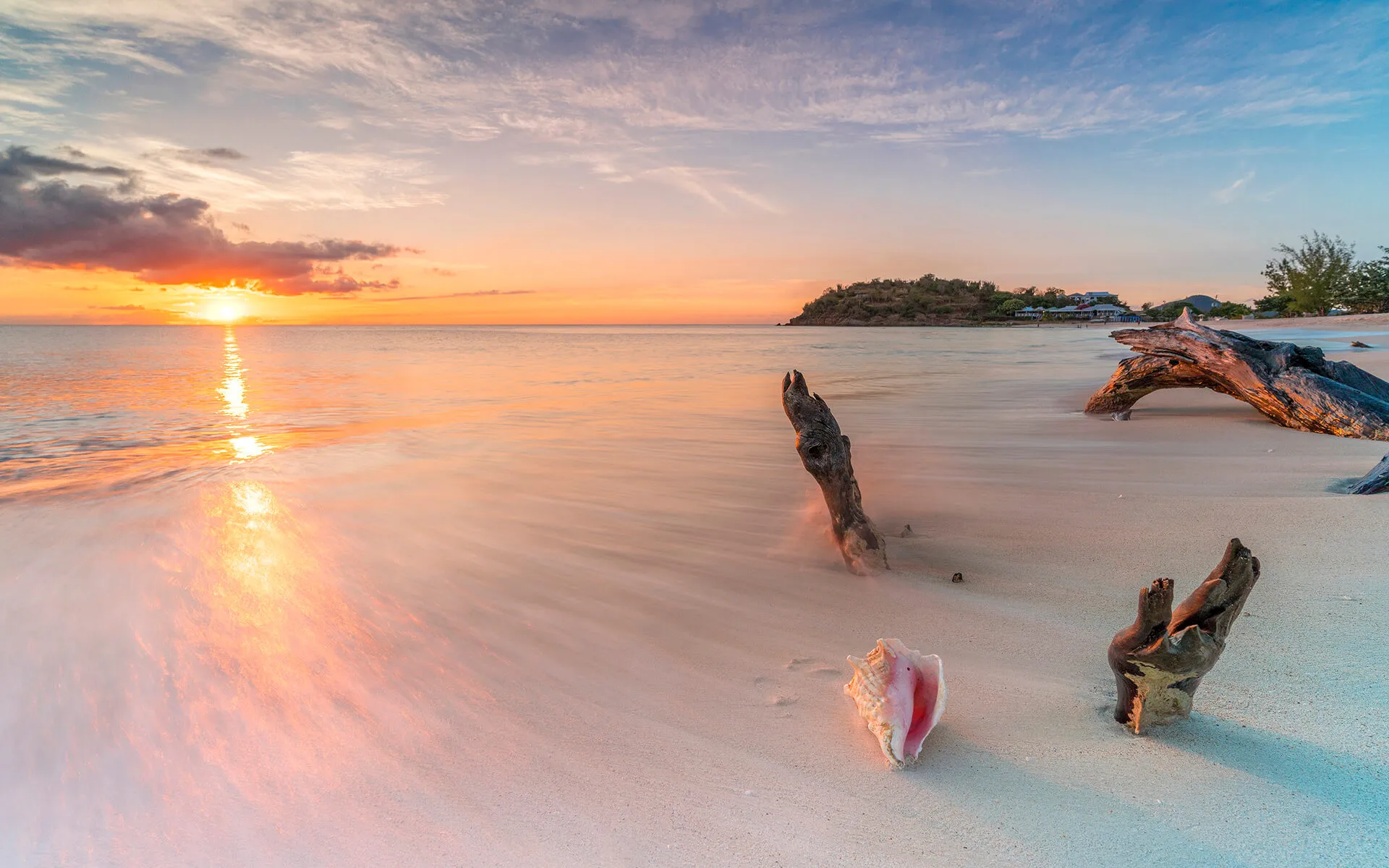 newfebriyaremdi 美国