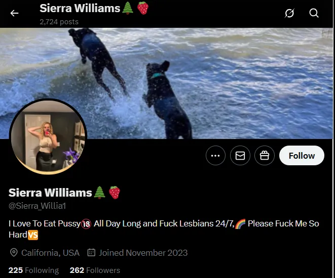 nazlymarianbarco 美国