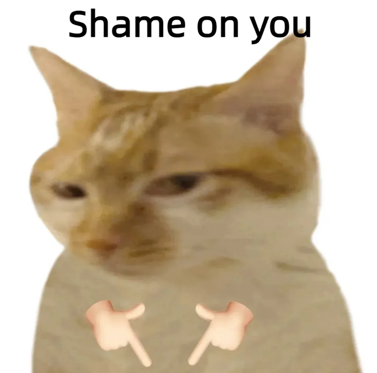 guilliamsruiz.93 美国