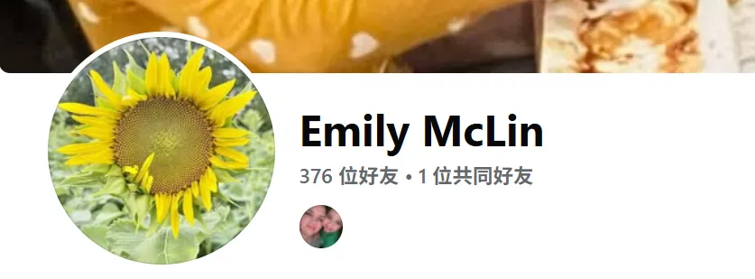 mclin.emily 美国