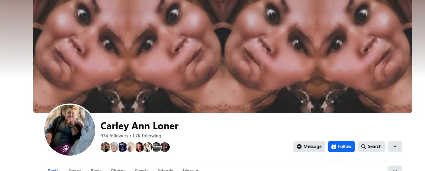 Idealawesomellc 美国