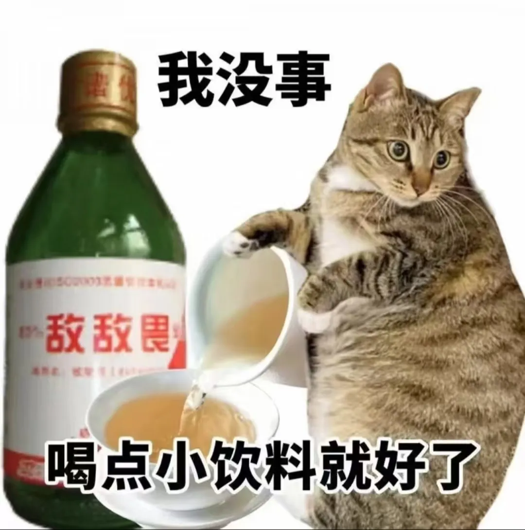 Itsjustshane2.0 美国