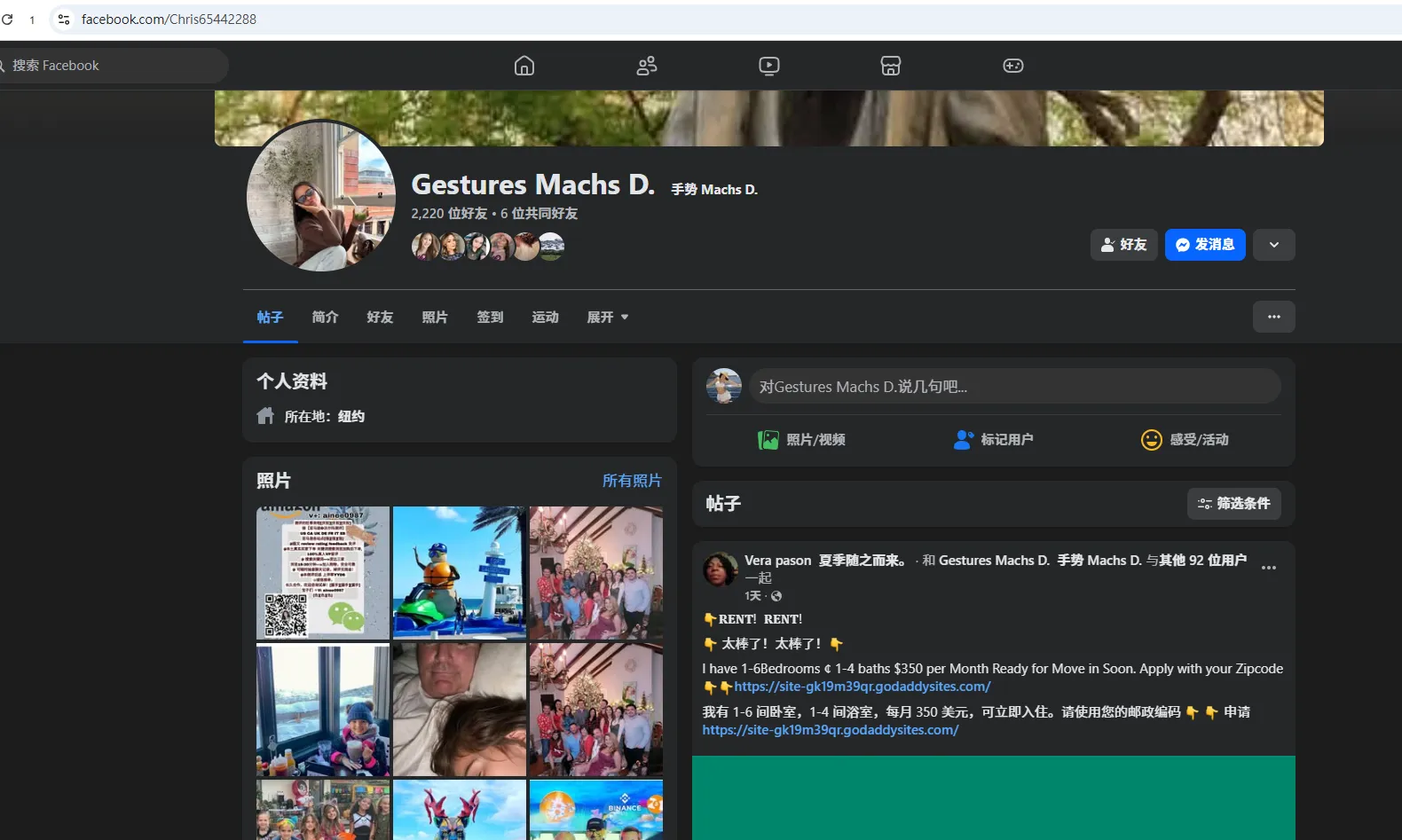 PayPal：angelinaangex.de 美国