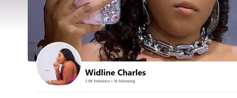 hermilcacalixte971 美国