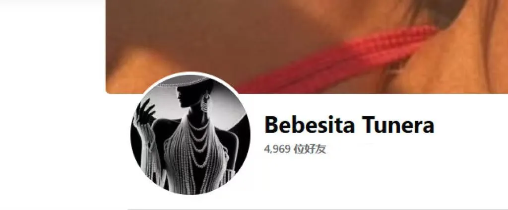 lisandrareyez0204 美国