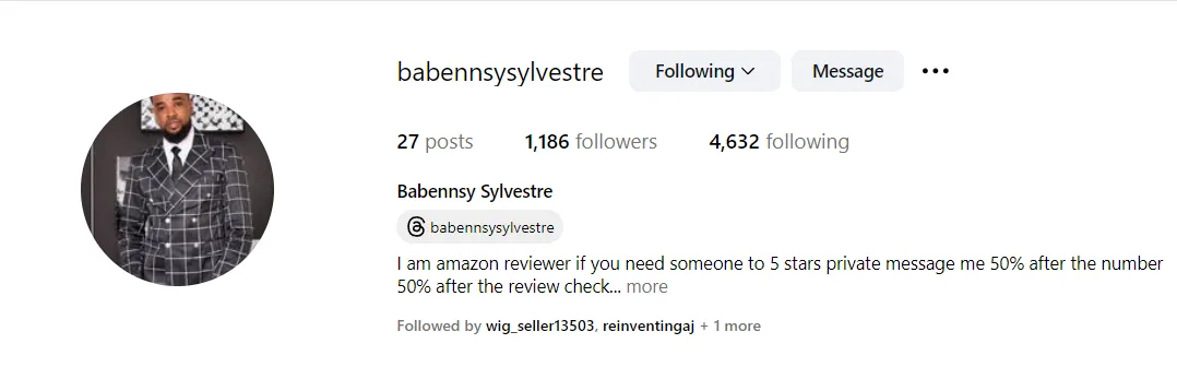 Babennsysylvestre 美国