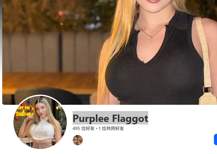 PurpleFlaggot 美国