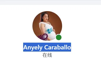 anyelycaraballo24 美国