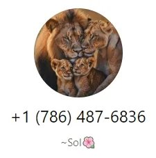 gonzalezsolayne 美国