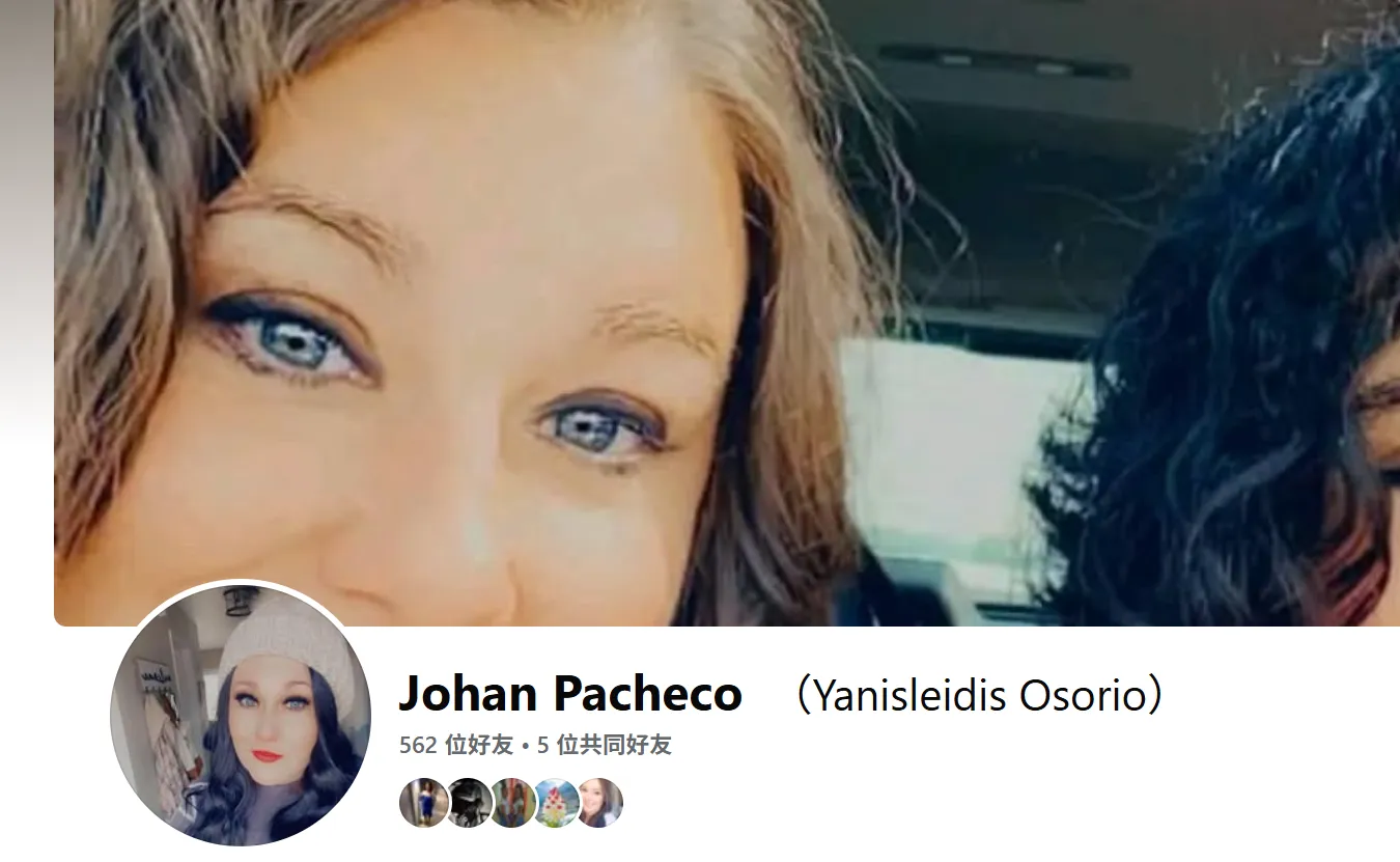 vivianadanguillecourt 美国