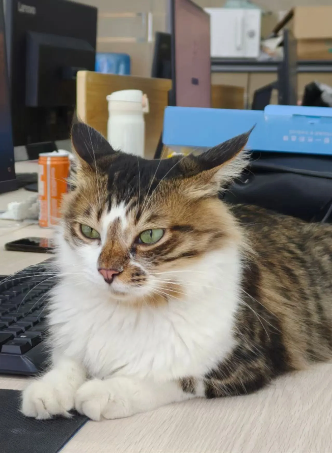 glendapolanco4 美国