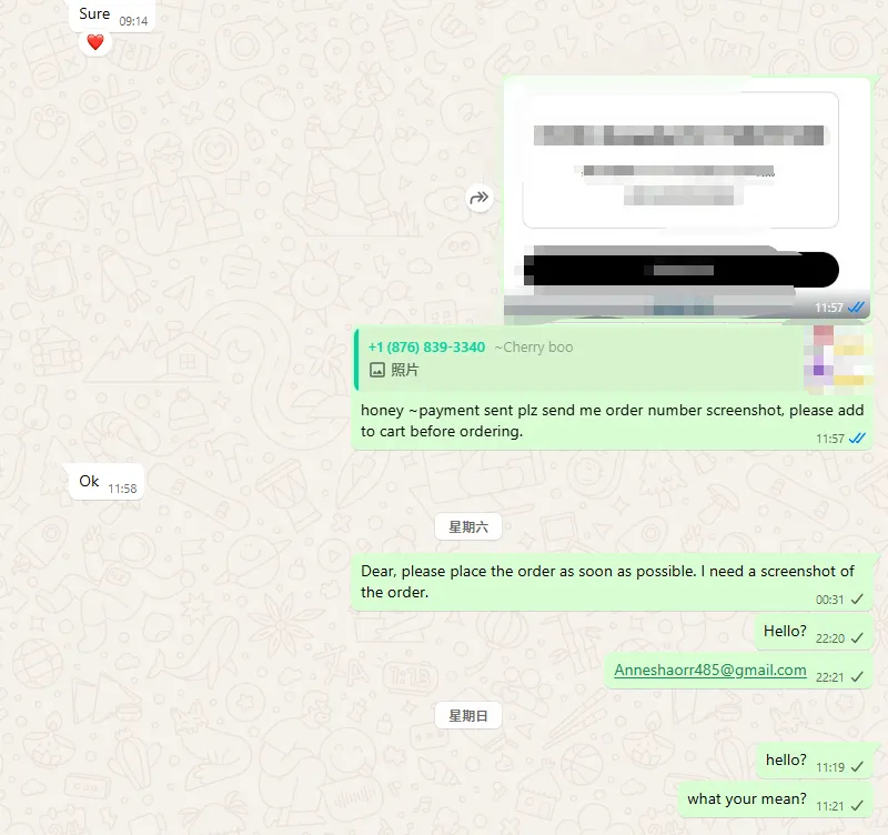 Anneshaorr485 美国