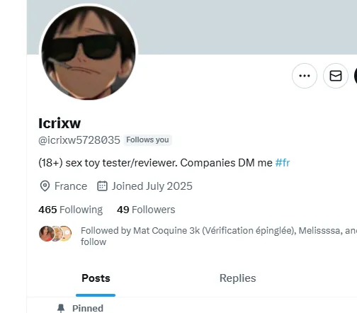 historique.paraison_1a 法国