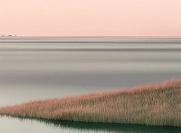 anatorresuscis 美国