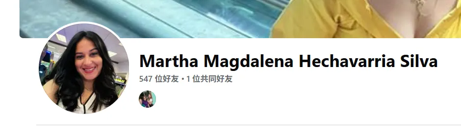 magdamhechavarriasilva 美国