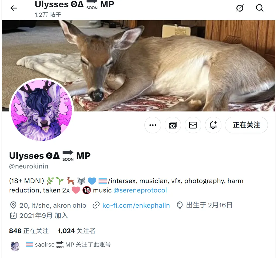 pp账号：moramide 美国