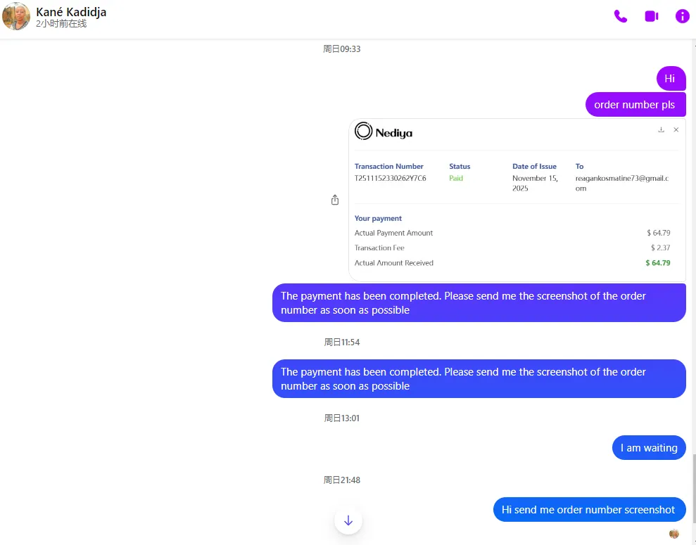reagankosmatine73 美国