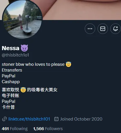 Nessamac101 加拿大