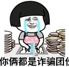 Wa.vanbramer2016 美国