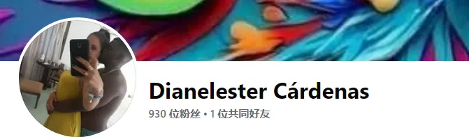 dianellysmas96 美国