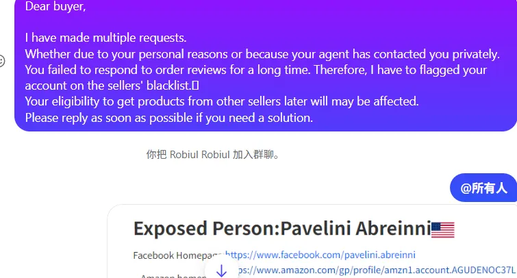 pavelini.abreinni 美国