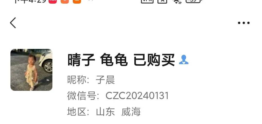 CZC20240131 日本