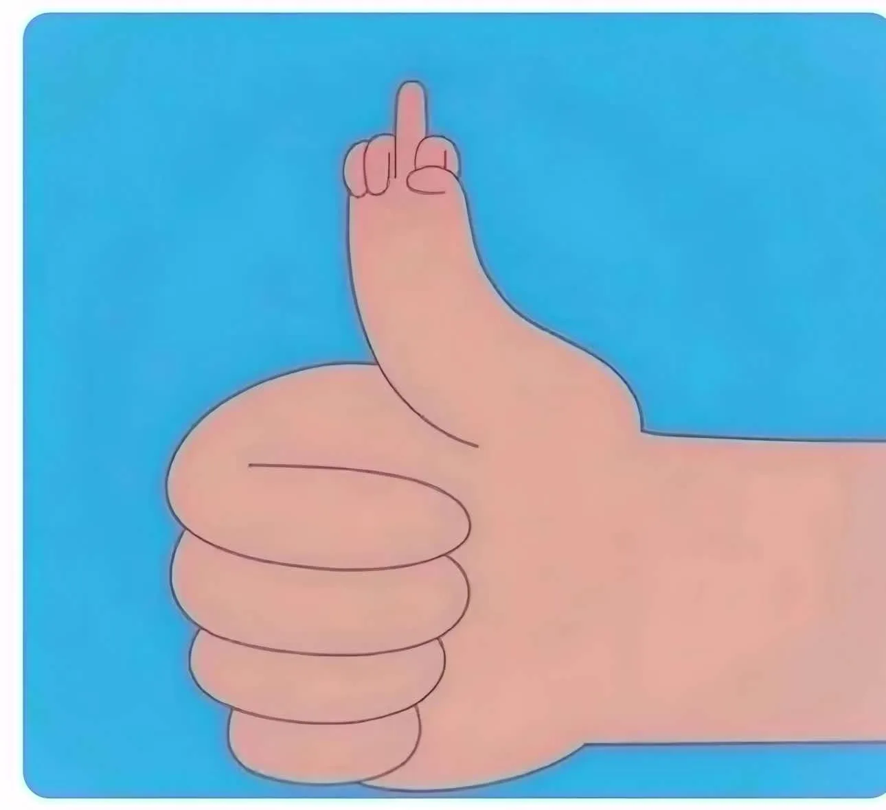 yaily.bozada08 美国