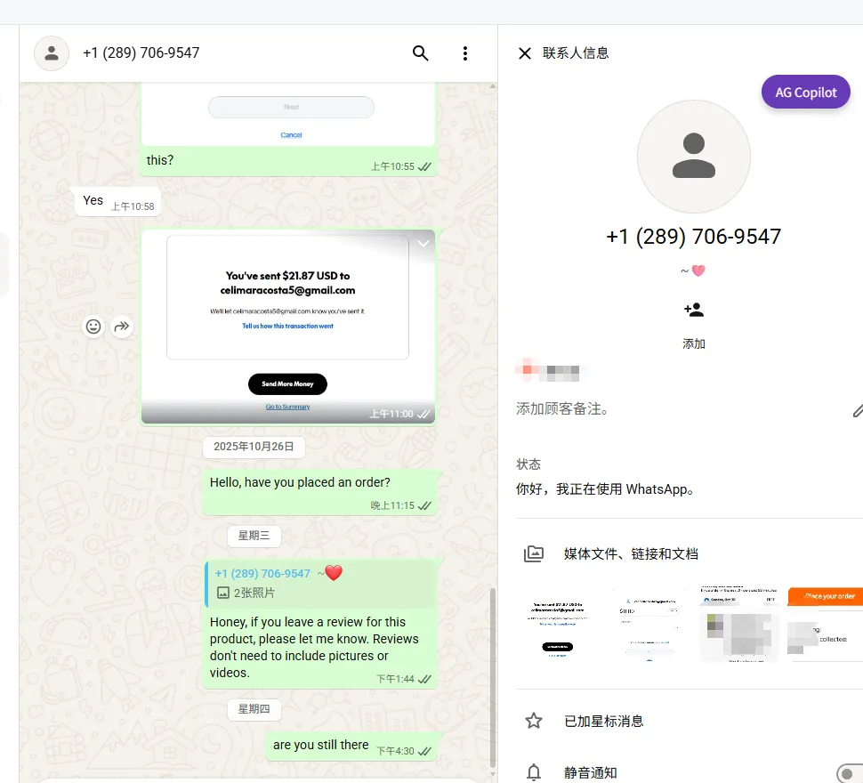 celimaracosta5 美国