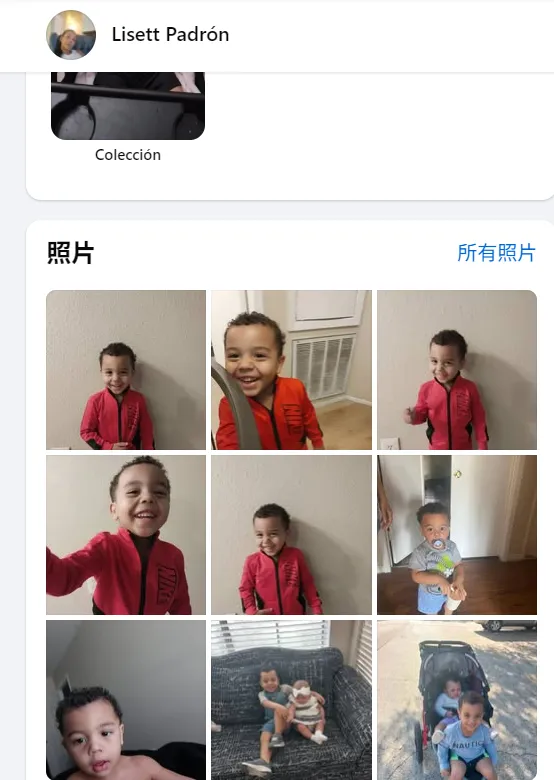 Fonsecayokleivis 美国