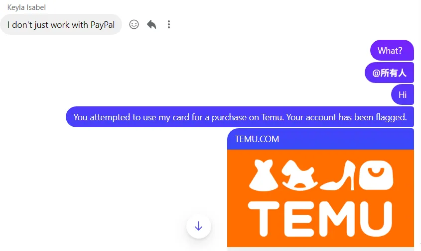 ysabelaraujo96 美国