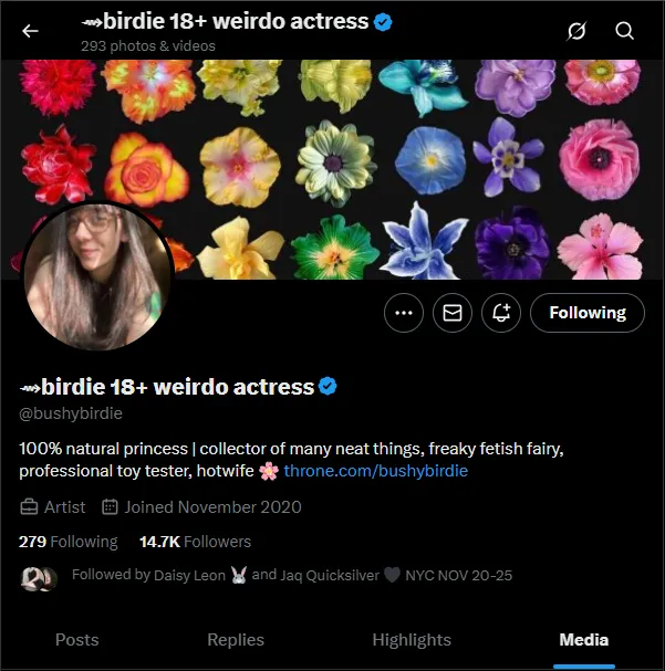 Wookieprincessart 美国