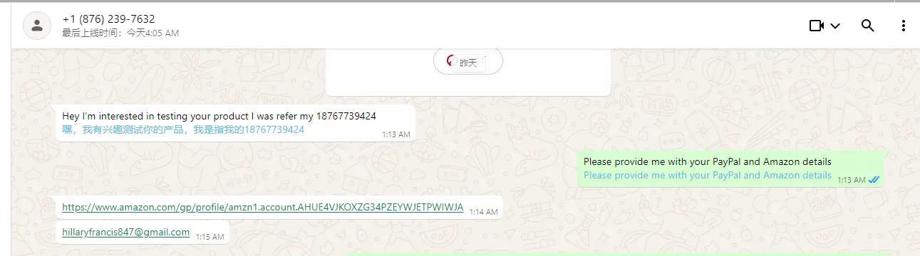 hillaryfrancis847 美国