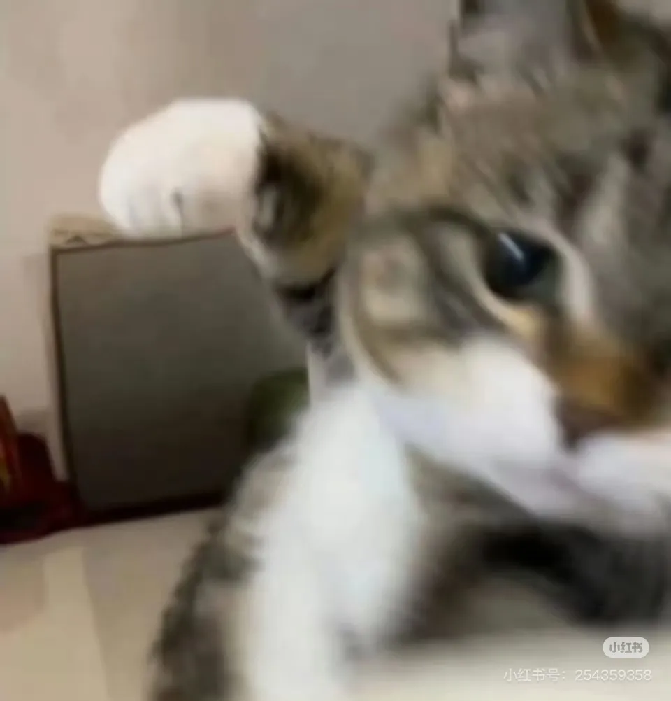 jycatruckingllc 美国