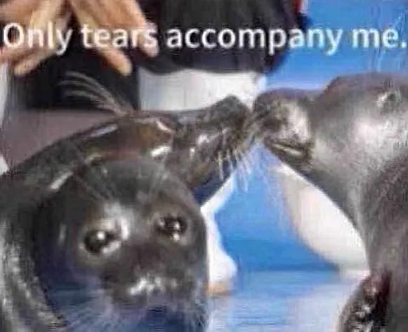 Aliyahrobinson389 美国