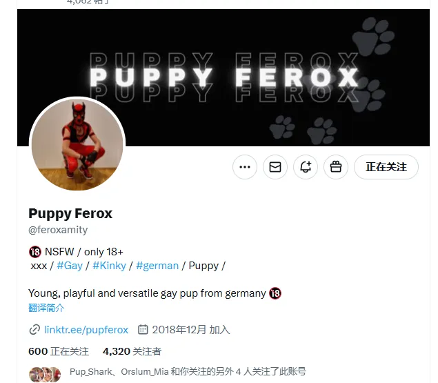 christianberndt-ml 德国