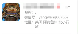 yangwang667667 美国