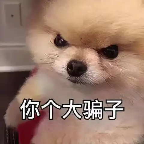 prajapatihiren40341 美国