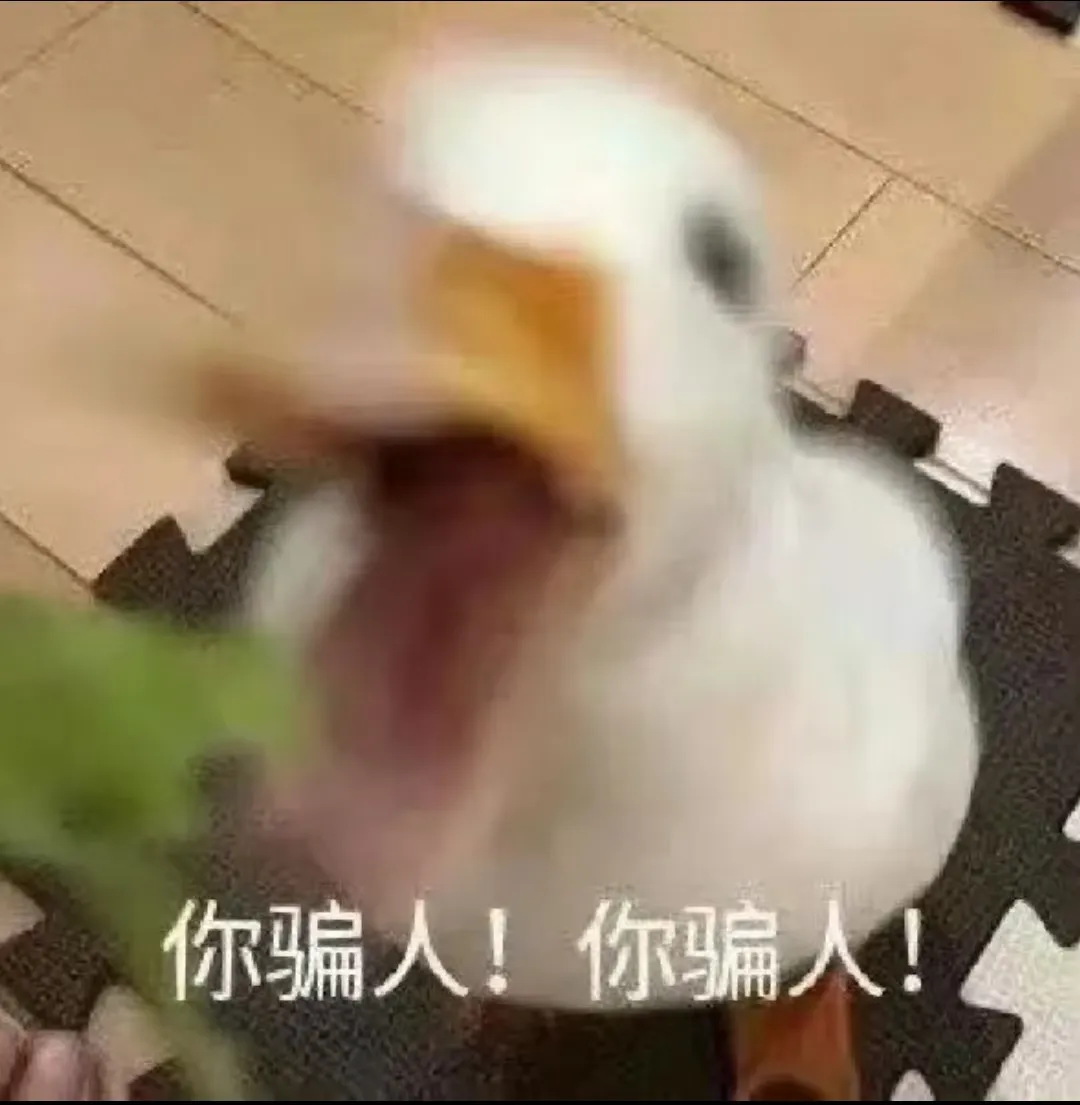 hussainhakeem52 加拿大