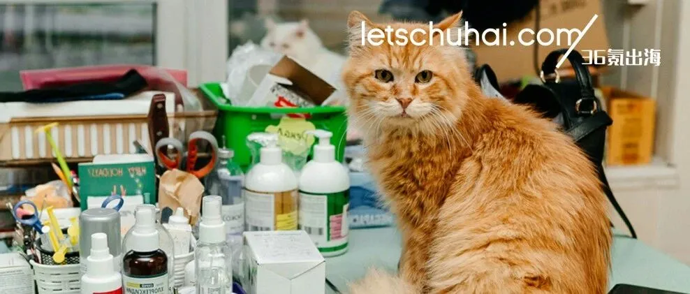 行业｜一年52亿、48亿片、180国！跨境大卖海外战绩有多疯？