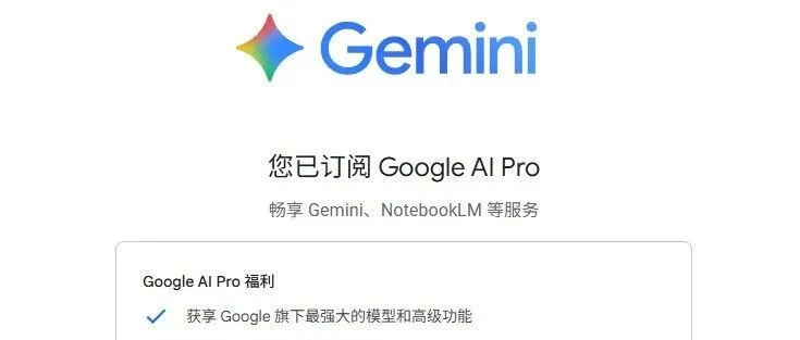 Google AI pro体验记