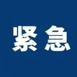 严查！大批链接被下架，有卖家店铺被清空......