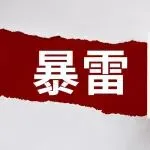 上百条柜子弃置！又一货代暴雷，货物半年没清关