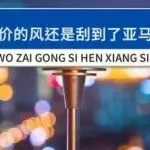 明年你还做低价产品，别说亚马逊不好做！