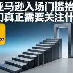 当亚马逊入场门槛抬高,我们真正需要关注什么?