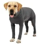 【25-cv-25766】38家沃尔玛店铺中招！GASTROPOD商标TRO维权，皮具类卖家速查侵权风险！