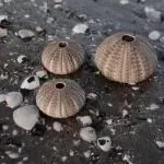 半年前，我们对东南亚电商做出了12个判断