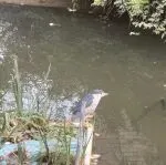 唏嘘，港资药妆巨头谢幕内地市场！