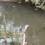 唏嘘,港资药妆巨头谢幕内地市场!