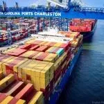 【美国进口清关】FDA 进口预警（Import alerts）信息列表